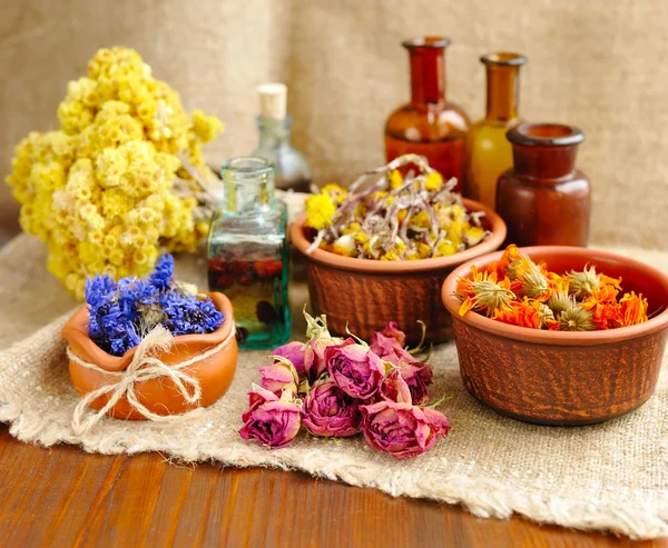 Plantes et teintures curatives en bouteille sur sac, fleurs séchées, plantes médicinales — Photo