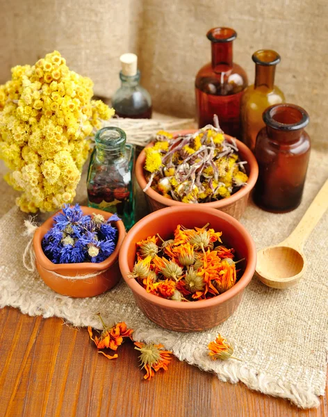 Ervas curativas e tinturas em garrafas em pano de saco, flores secas, fitoterapia — Fotografia de Stock