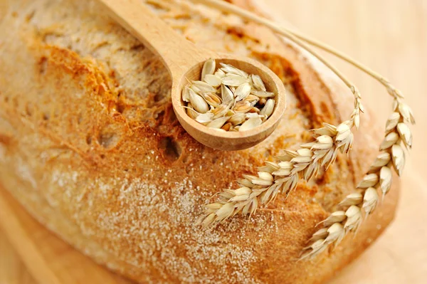 木の板に焼きたての伝統的なパン — ストック写真