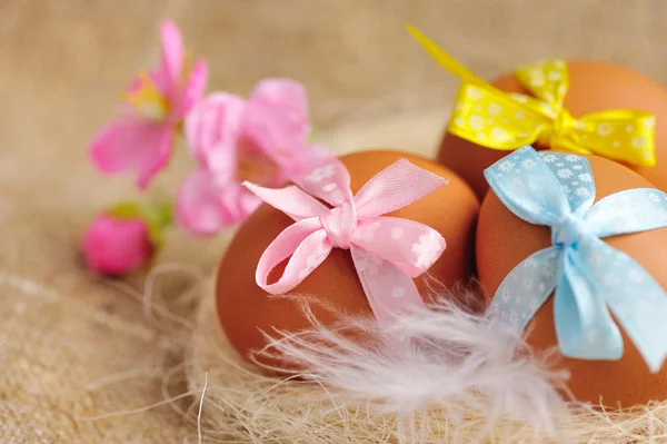 Velikonoční vejce v hnízdě na pytlovina — Stock fotografie