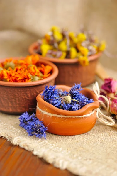 Heilkräuter auf Sacktuch, getrocknete Blumen, Kräutermedizin — Stockfoto