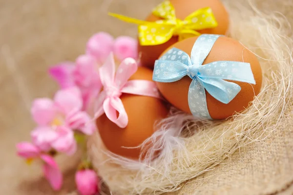 Easter eggs in the nest on a burlap — Stock Photo, Image