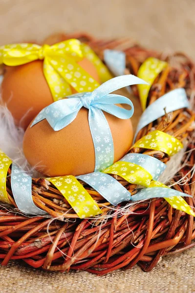 Ostereier im Nest auf einer Klette — Stockfoto