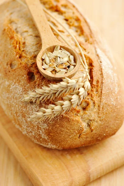 Freshly baked traditional bread on wooden board — Stock Photo, Image