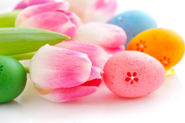 Easter eggs with pink tulip flowers on white background — Stock Photo, Image