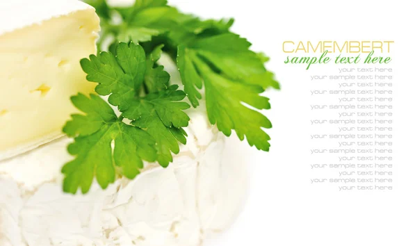 Camembert cheese with a parsley isolated on white — Stock Photo, Image