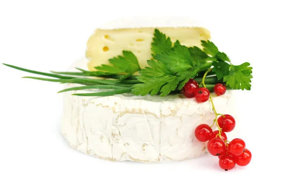 Camembert cheese with red currants and parsley on white — Stock Photo, Image