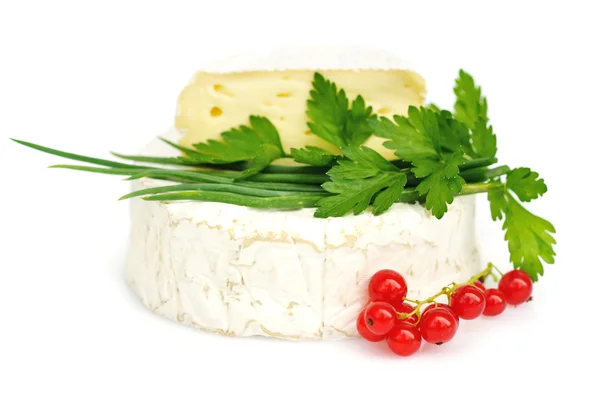 Camembert cheese with red currants and parsley on white — Stock Photo, Image