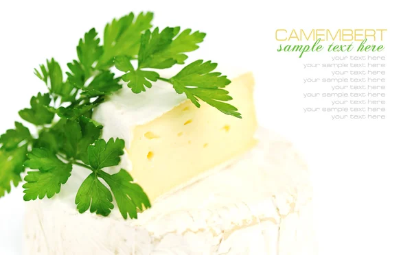 Camembert cheese with a parsley isolated on white — Stock Photo, Image