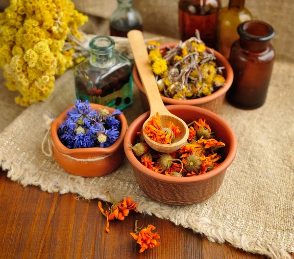 Plantes et teintures curatives en bouteille sur sac, fleurs séchées, plantes médicinales — Photo