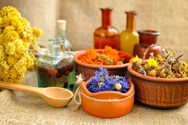 Heilkräuter und Tinkturen in Flaschen auf Sacktuch, getrockneten Blumen, Kräutermedizin — Stockfoto