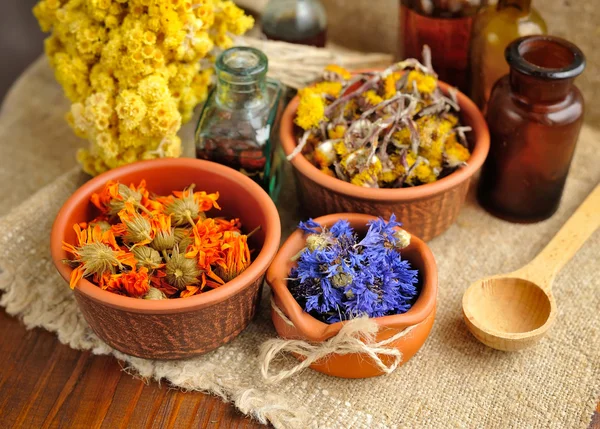 Ervas curativas e tinturas em garrafas em pano de saco, flores secas, fitoterapia — Fotografia de Stock