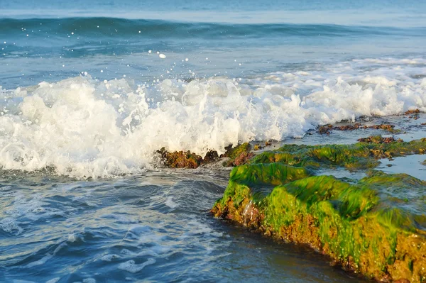 Seascape with running waves on the rocks at the beach — Stock Photo, Image