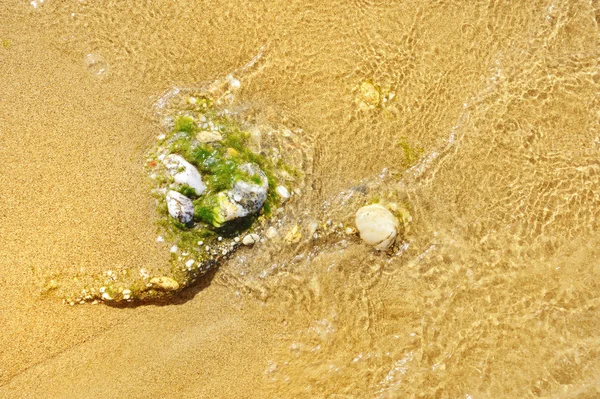 Zachte golf van de zee op het zandstrand — Stockfoto