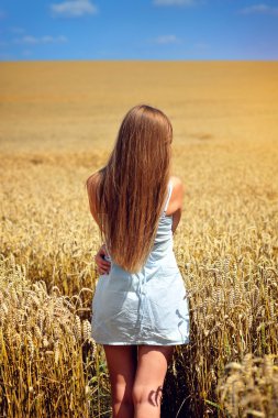 altın buğday alanında genç güzel kadın