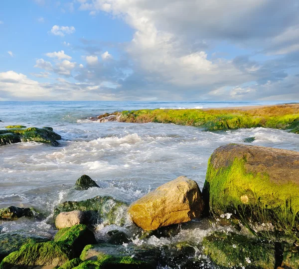 Prachtige zeegezicht. Samenstelling van de natuur. — Stockfoto