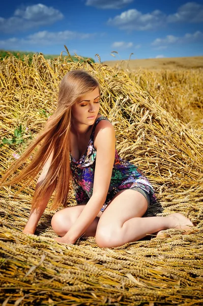 Jovem mulher bonita no campo de trigo dourado — Fotografia de Stock