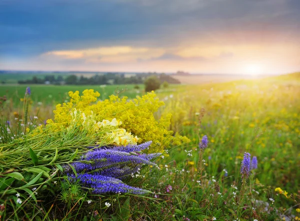 一束夏天鲜花上日落背景景观 — 图库照片