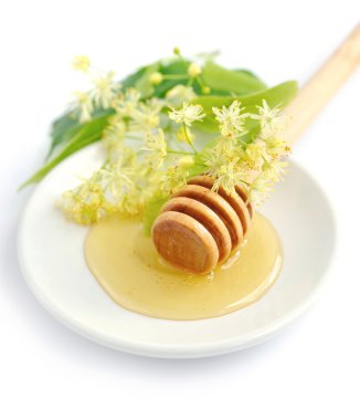 Bal ayı beyaz daire üzerinde Ihlamur çiçekleri ile bal ile