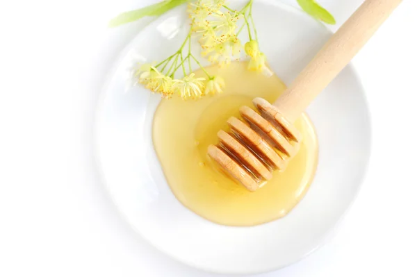 Naběračka na med s medem s květy Lípa na bílý talíř — Stock fotografie