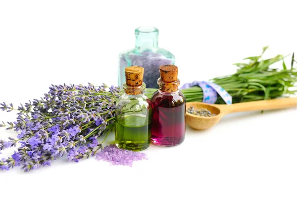 Lavender fresh and dry flowers and lavender oil — Stock Photo, Image