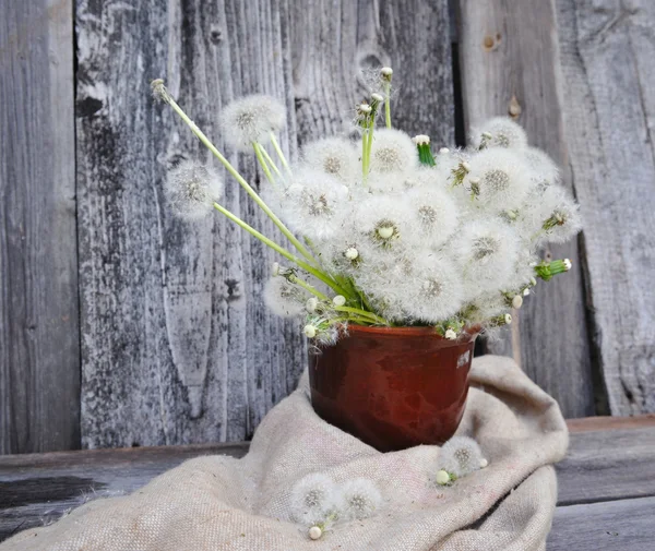 Bouquet of dandelions in a ceramic jug — Stock Photo, Image