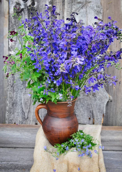 Schöner Strauß heller Salvia-Blumen — Stockfoto