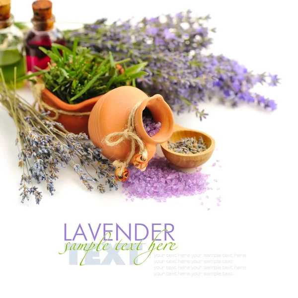 Lavendel frische und trockene Blumen und ein Salz Lavendel auf weiß — Stockfoto