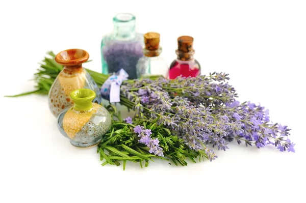 Lavender fresh flowers and lavender oil on white background — Stock Photo, Image