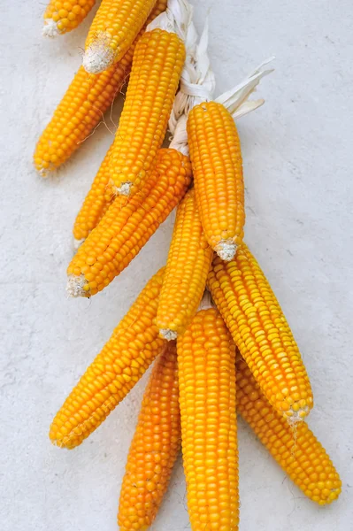 Dried corn cobs — Stock Photo, Image