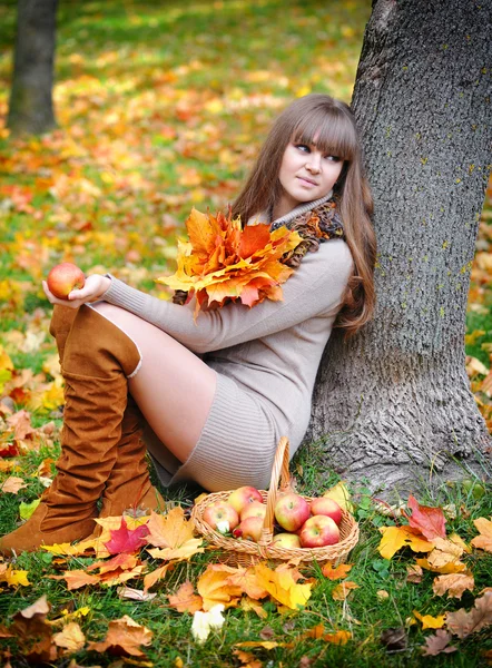 Beautiful girl in the autumn park — Stock Photo, Image