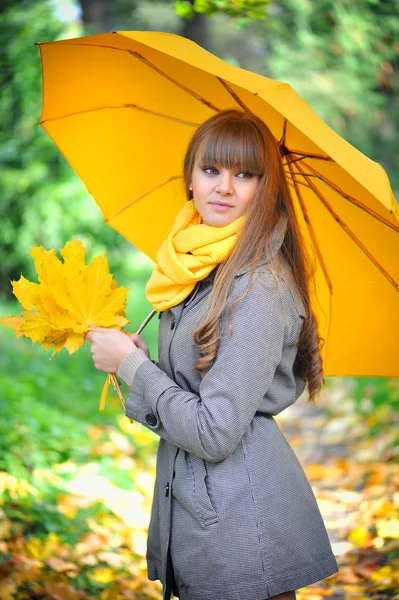 Beautiful young woman is in an autumn park with an umbrella — Stock Photo, Image