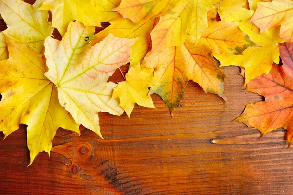 Hojas de otoño sobre fondo de madera vieja. Con espacio de copia — Foto de Stock