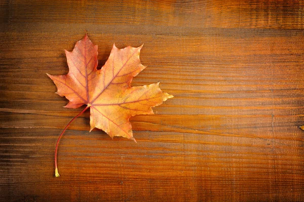 Foglia d'autunno su sfondo di legno. Con spazio di copia — Foto Stock