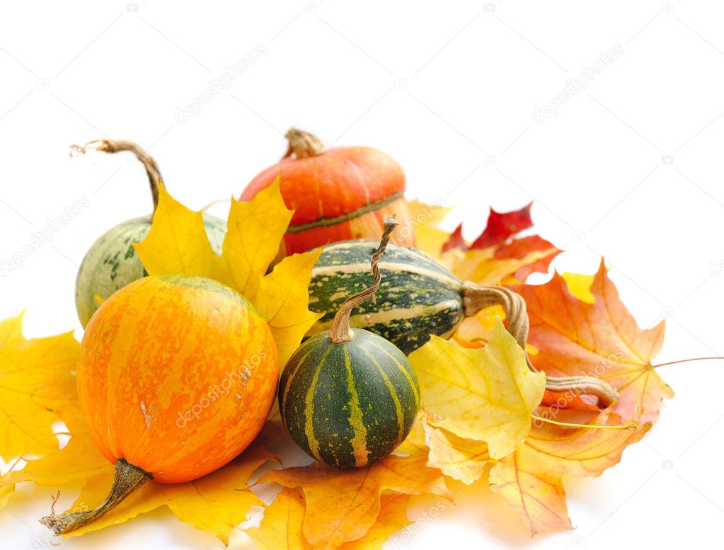 Decorative pumpkins and autumn leaves on a white background