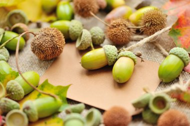 Sonbahar meşe palamutları ve yaprakları ile boş kağıt etiket