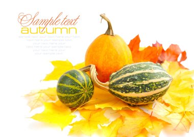 Dekoratif kabaklar ve beyaz bir arka plan üzerinde sonbahar yaprakları
