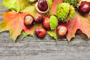 Taze kestane ile akçaağaç yaprakları üzerinde ahşap arka plan