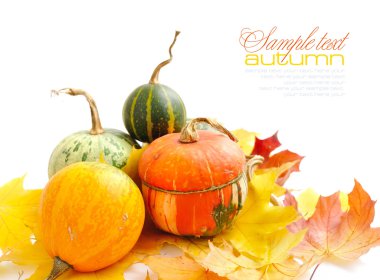 Dekoratif kabaklar ve beyaz bir arka plan üzerinde sonbahar yaprakları