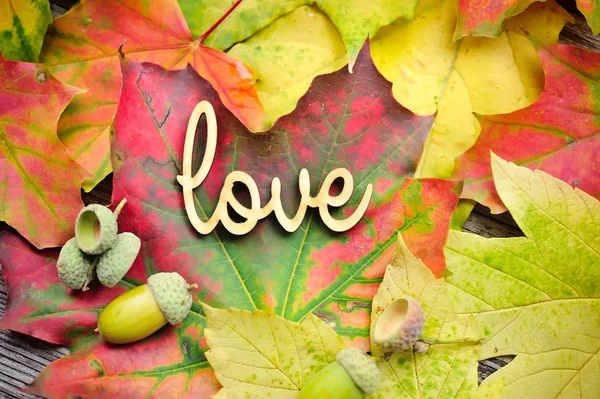 Word LOVE on the background of the autumn leaves and acorns — Stock Photo, Image