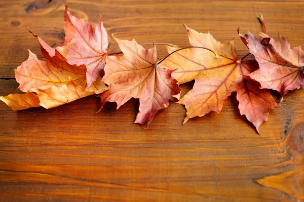 秋天的叶子在老木背景。与副本空间 — 图库照片