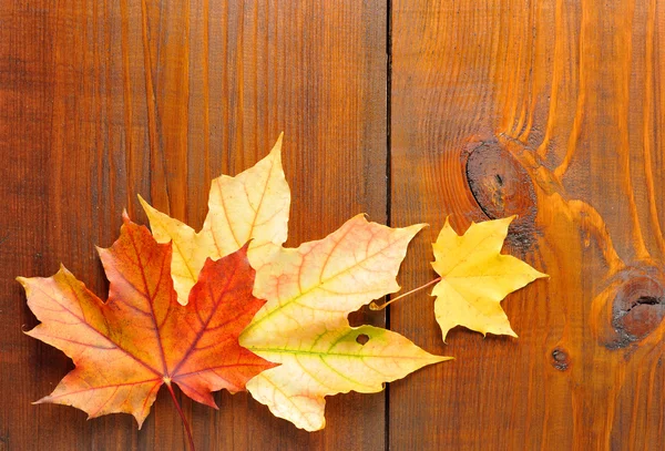 秋天的叶子在老木背景。与副本空间 — 图库照片