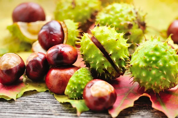 Castanhas frescas com folhas de bordo sobre fundo de madeira — Fotografia de Stock