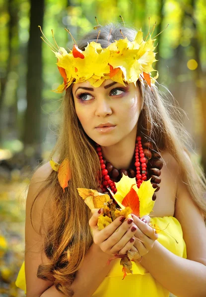 Retrato de una hermosa niña en una corona de hojas de otoño — Foto de Stock