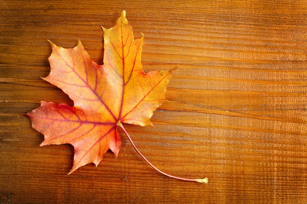 Foglia d'autunno su sfondo di legno. Con spazio di copia — Foto Stock