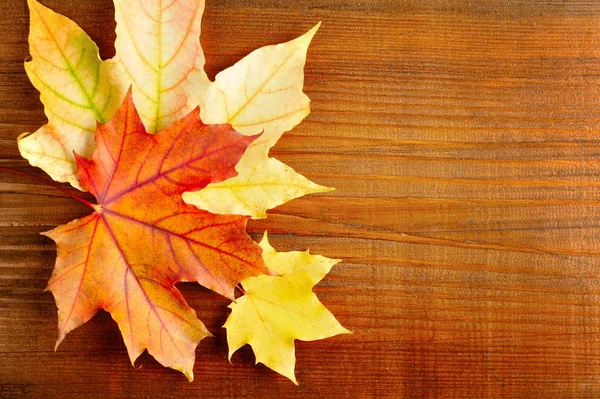 Hojas de otoño sobre fondo de madera vieja. Con espacio de copia — Foto de Stock