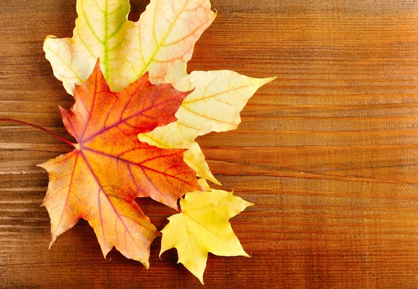 Hojas de otoño sobre fondo de madera vieja. Con espacio de copia — Foto de Stock