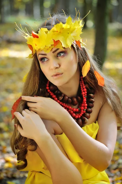 Portrét krásné dívky v věnci podzimních listů Royalty Free Stock Obrázky