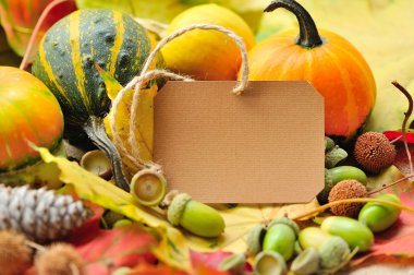 Sonbahar meşe palamutları ve yaprakları ile boş kağıt etiket