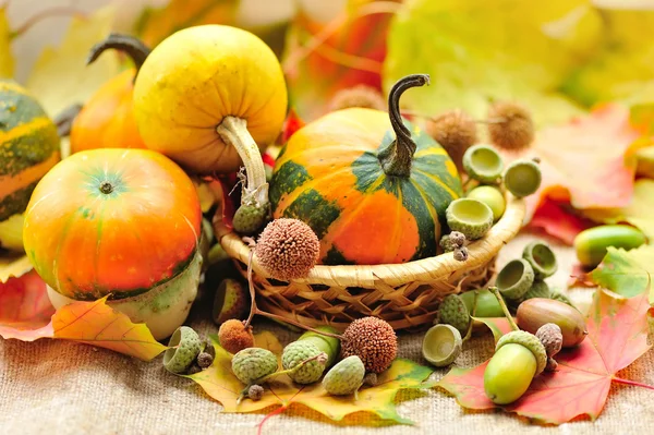 Mini decoratieve pompoen met eikels op herfst bladeren — Stockfoto